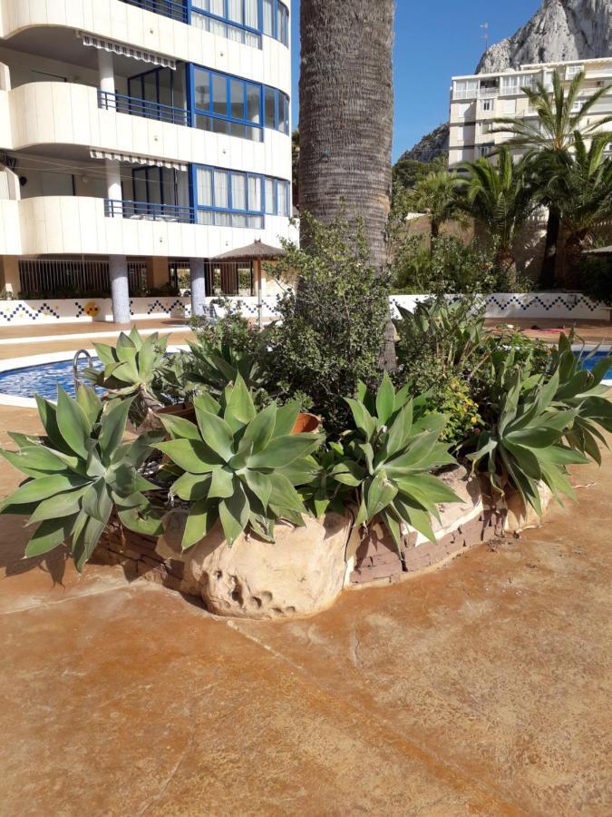 Appartement Equipe Calpe Espagne, 4 Couchages, Terrasse, Piscines, Climatisation, Garage, Wifi Gratuits Eksteriør bilde